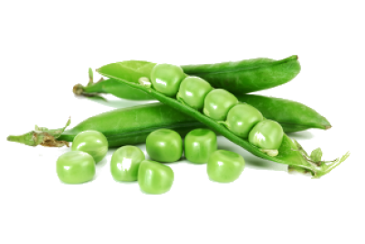 background-Pea-transparent