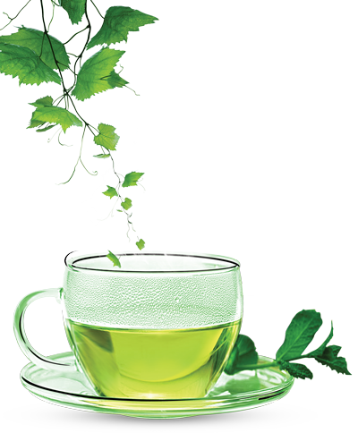  Green Tea PNG Clipart