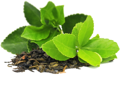  Green Tea PNG Transparent Image
