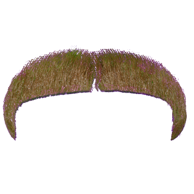  Moustache File