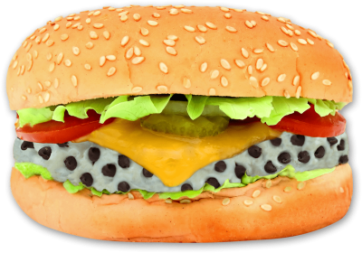 hamburger