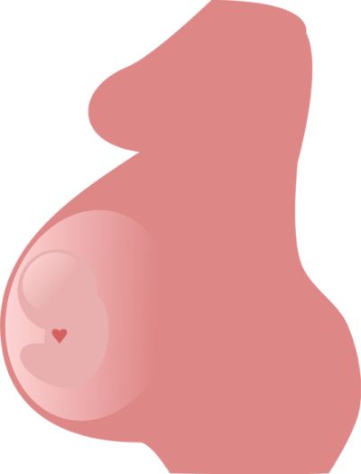  Pregnancy Transparent Background