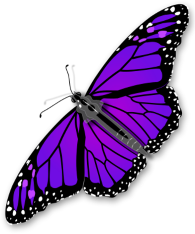  Purple Butterfly Transparent PNG