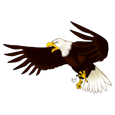  Eagle Png Image Download