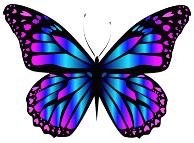  Purple Butterfly