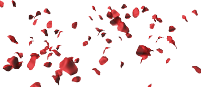  Rose Petals PNG HD