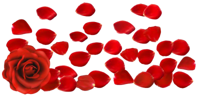  Rose Petals