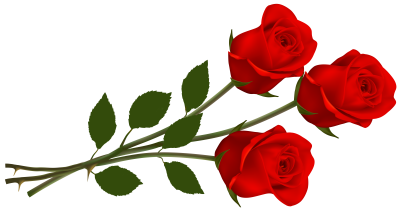  Single Red Rose PNG Transparent Image