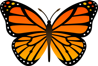  Cartoon Butterfly PNG