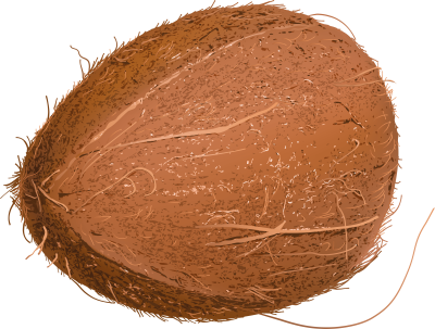 coconut