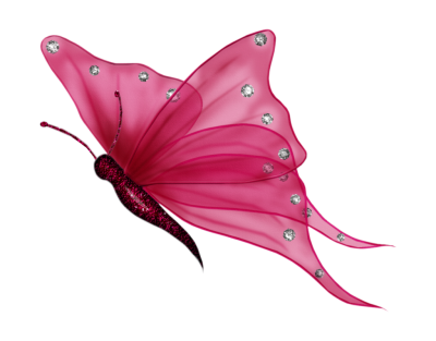  Flying Butterflies Transparent Background