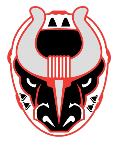 birmingham-bulls-logo