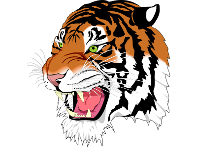  Tiger Png Image Download Tigers