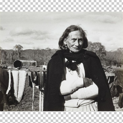 Museum Of New Zealand Te Papa Tongarewa Māori People Tā Moko ...