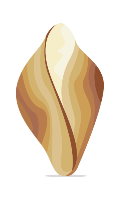 About Us - Te fit-Tazza