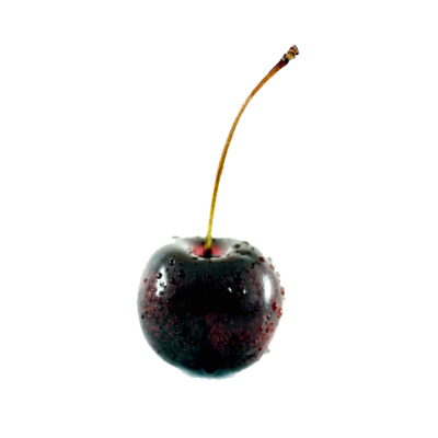  Black Cherry File