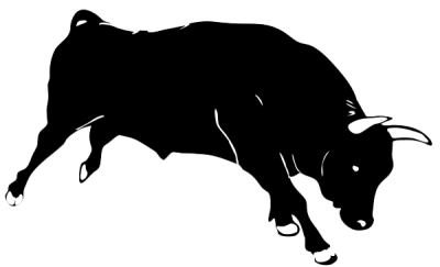  Bull Png Picture