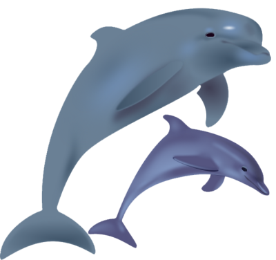  Dolphin Free Png Image