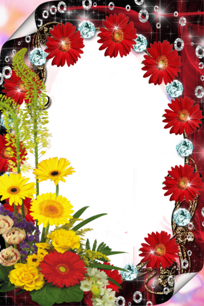  Red Flower Frame PNG File