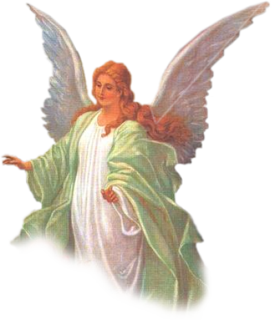  Angel Transparent Background