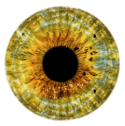 eye-brown-yellow