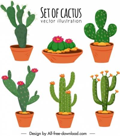 cactus-pots-icons-colorful-classical-design_6840765